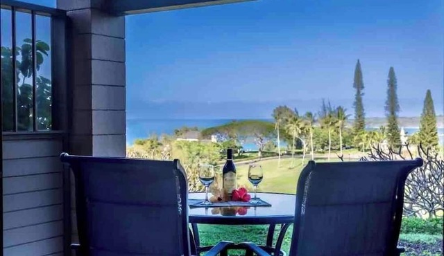 Kapalua ocean view 1 bedroom spacious villa condo, AC, walk down to the beach