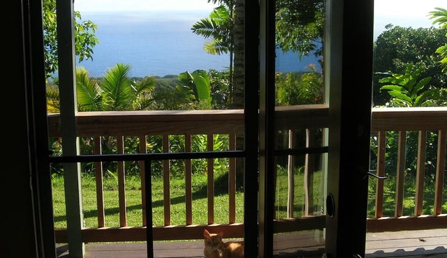 Paradise Ocean View Private Cottage Solar Power Tropical Flower Gardens