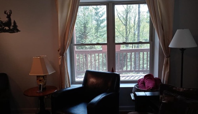Reduced 50%on30+daysBchMTN/2BR/2BthNew/Clean/Comfort/sleeps4/Wifi/Cable/2mi2rsrt in Beech Mountain