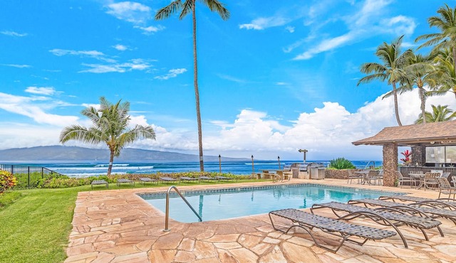 Oceanfront Studio w/Sunsets and Surf - Noelani 119 - Turtle Viewing Beach