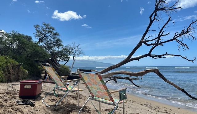 Embark on a journey through Maui with Aloha Glamp