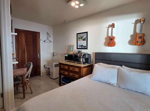 Oceanfront studio see whales and dolphins