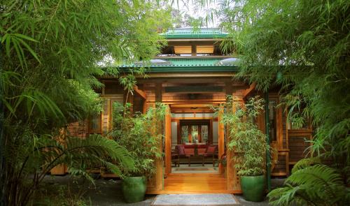 Volcano Rainforest Retreat in Volcano