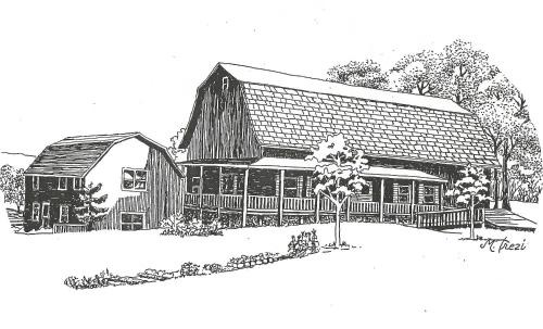 The South Glenora Tree Farm in Dundee