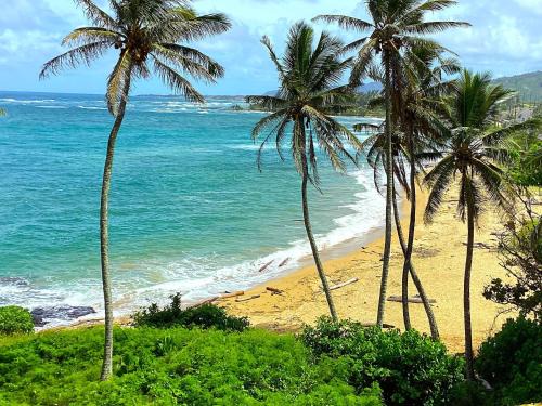 Wailua Bay 